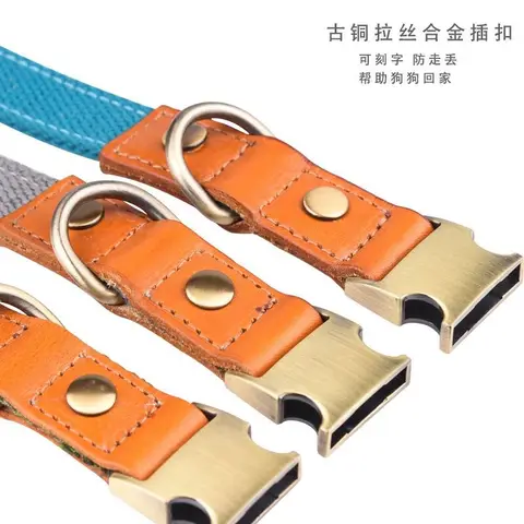 10 best sales Australisk nötkreaturshund - №10