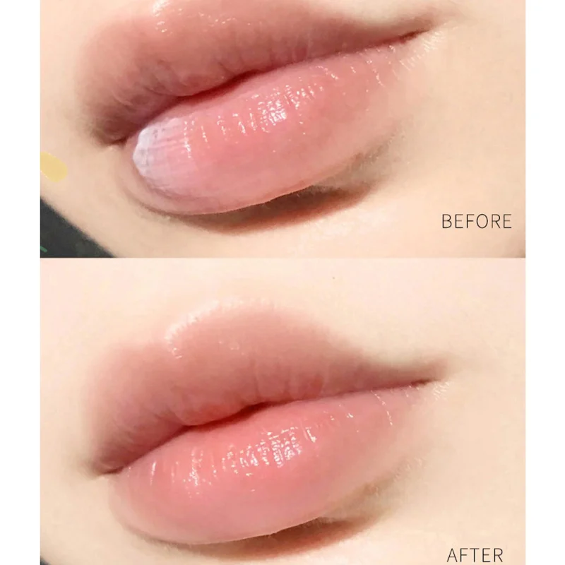 Natural Plant Lip Balm Moisturizing Lipsticks Base Cute Makeup Anti-Cracking Lip Oil Original Korean Cosmetics Skin Care
