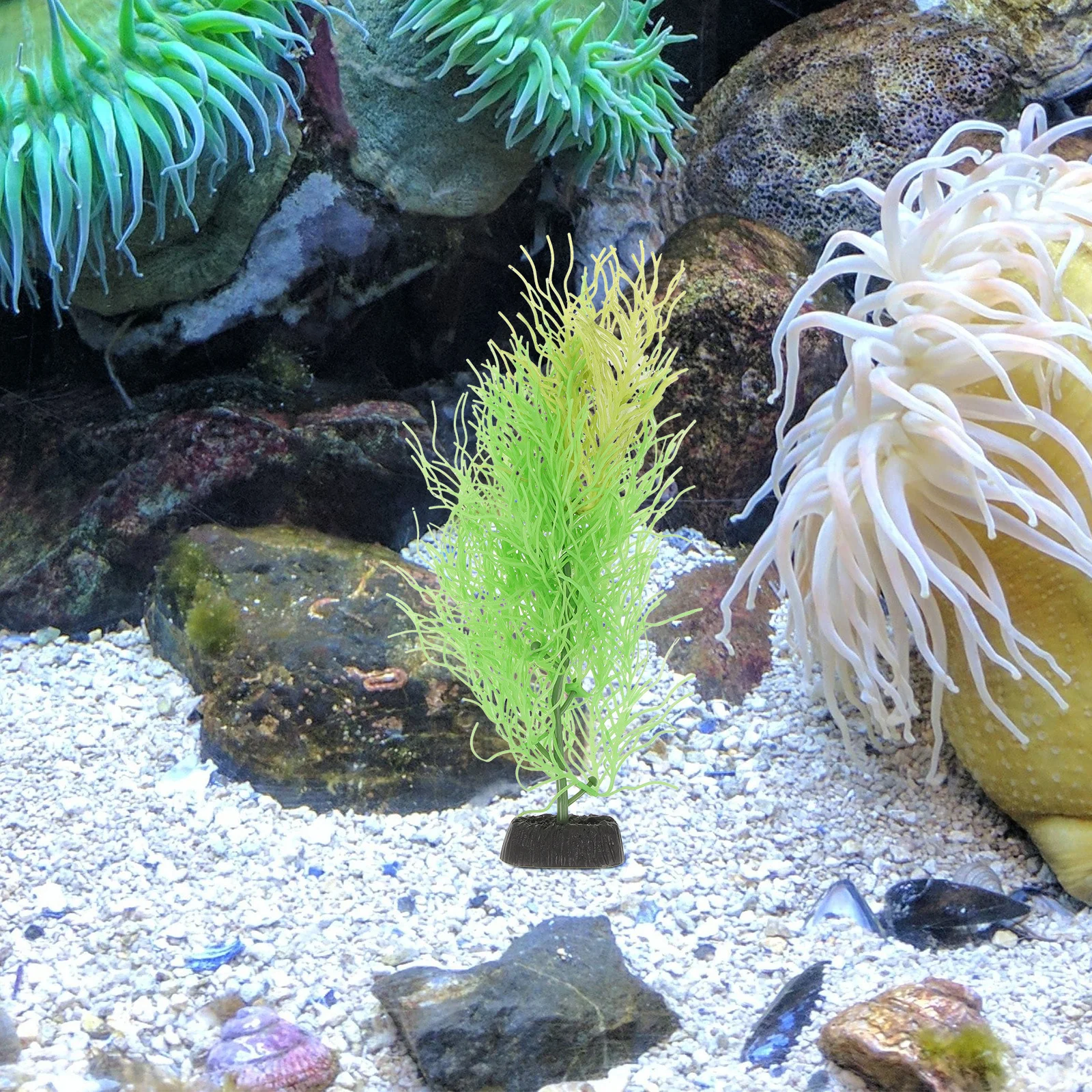 

Simulation Hornwort Aquarium Decor Plant Fish Tank Ornaments Decorations Faux Simulated Betta