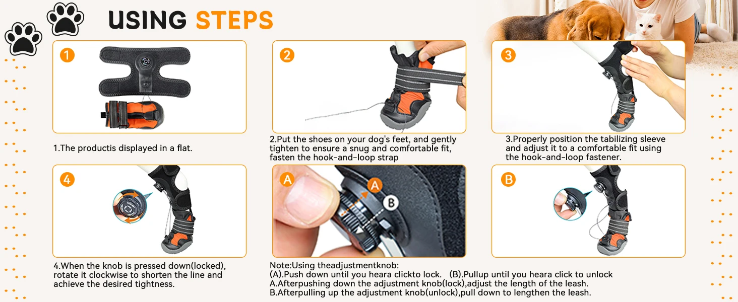 dog leg braces for back leg