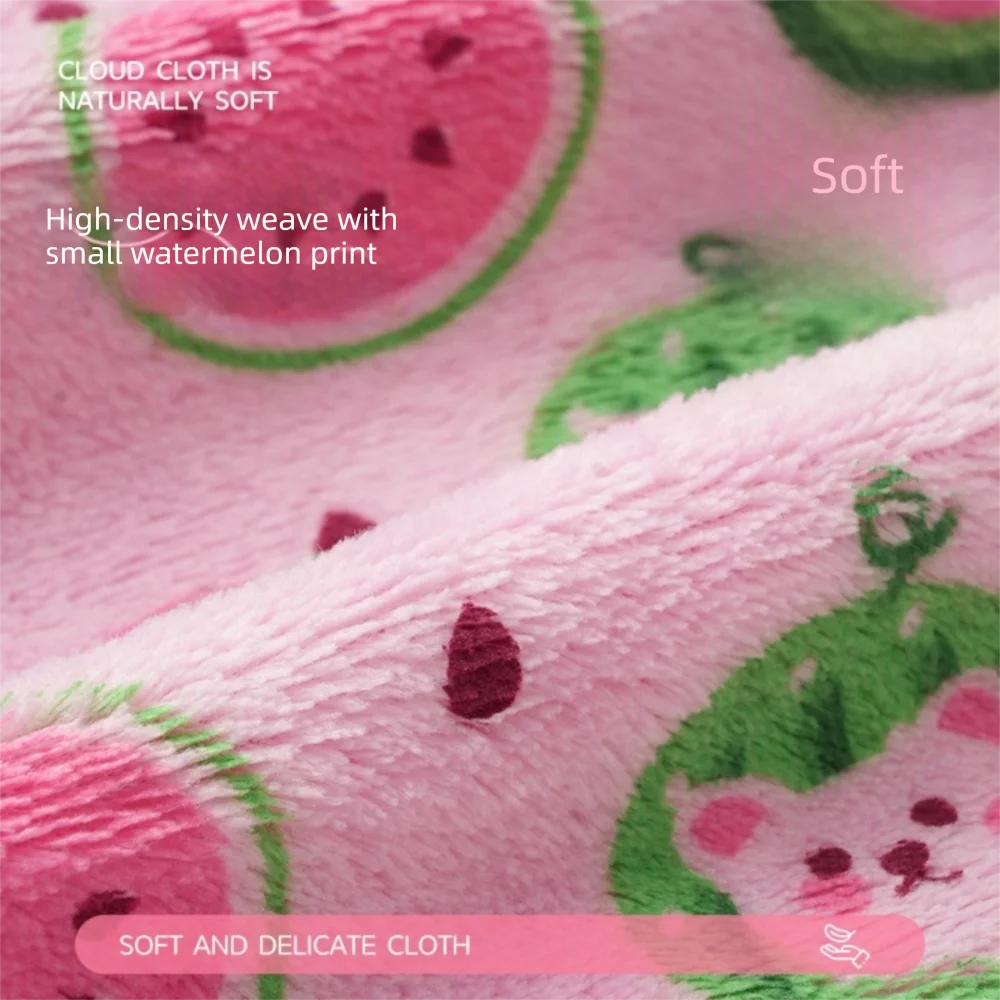 3Pcs High Quality Super Absorbent Cleaning Cloth Thickened Watermelon Printed Microfiber Cloth Dishwashing Cloth Household