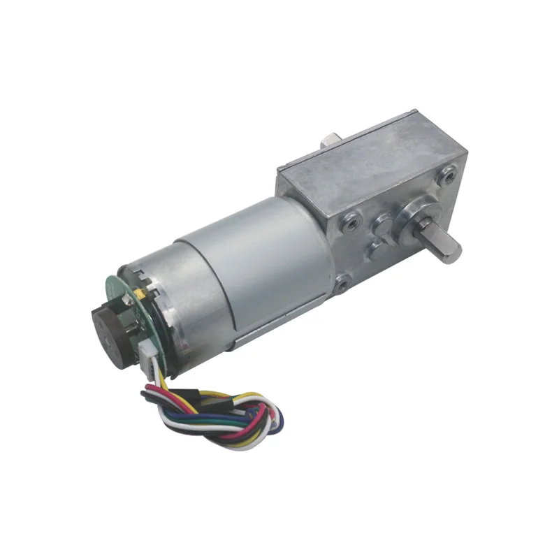 DC 12v 24v Turbo Speed Reducer Worm Geared Motor Dual Shafts High Torque 11PPR Encoder Worm Gear Motor