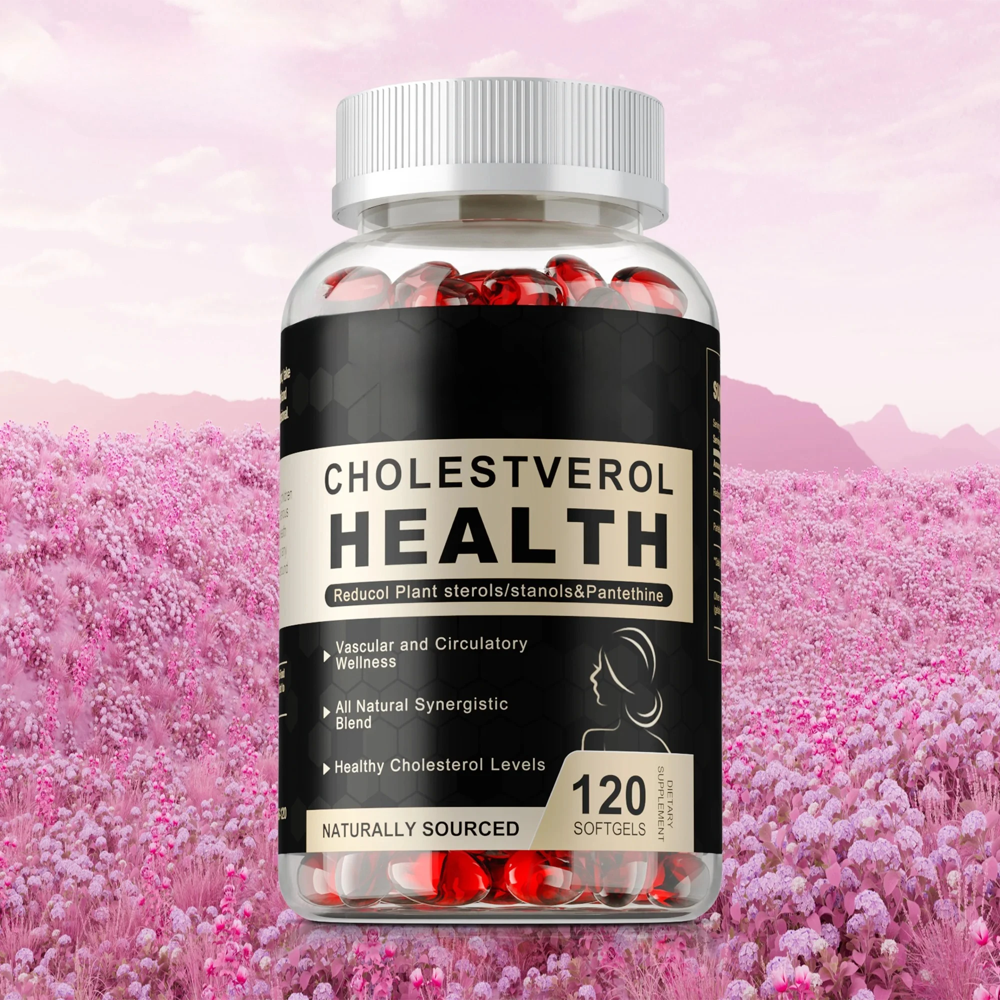 Cholesterol Health - Antioxidant, Maintains Cholesterol Levels, Promotes Vascular, Heart and Adrenal Health, Energy Metabolism