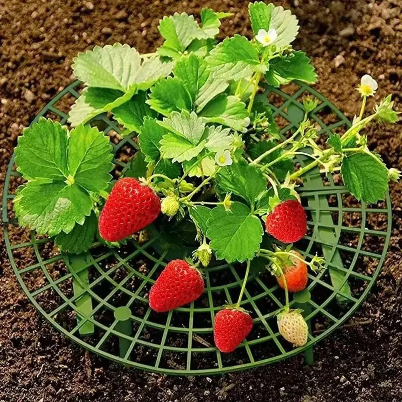 3/6-Piece Strawberry Rack, Gardening Tool, Planting Rack, Cultivation Rack, Balcony Potted Plant and Vegetable Growing Tray Rack
