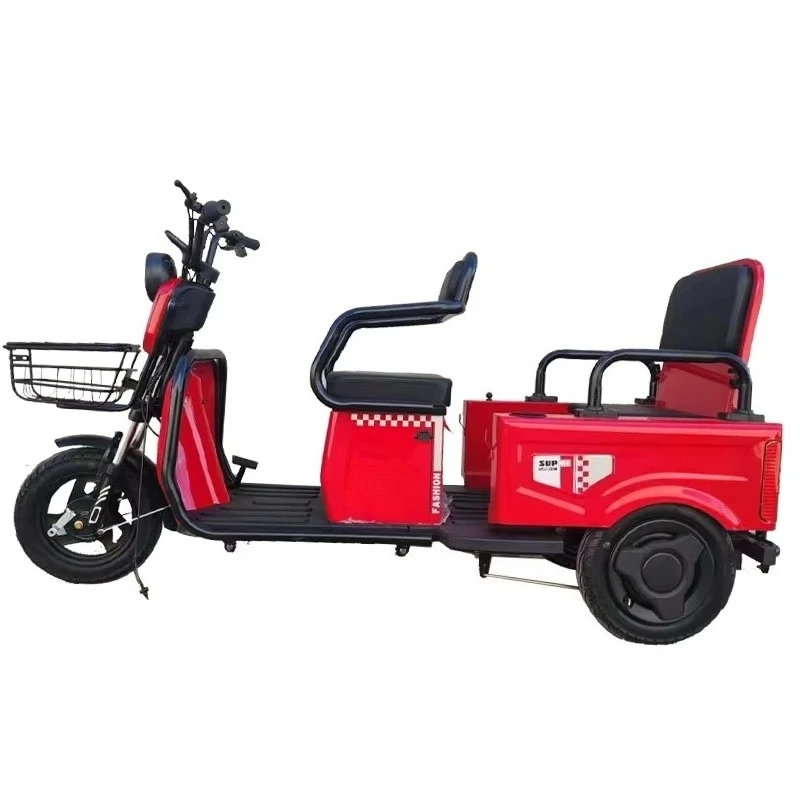 

STLF 600W/800W/1000W Electric Tricycle Customized Motor Cargo Delivery