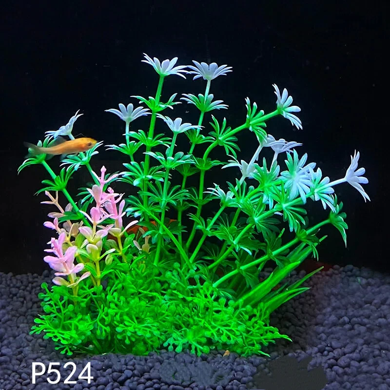14 centimetri/5.5 pollici Acqu - Planted Aquarium Bowl recensione e prezzo