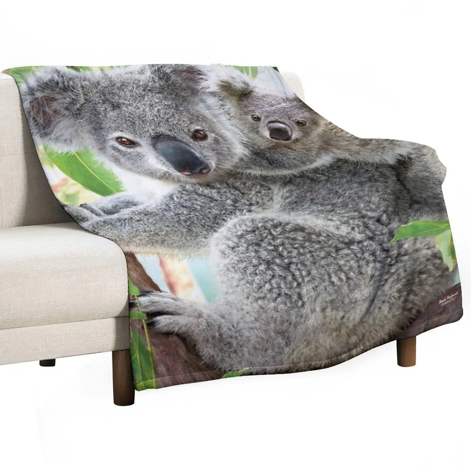 

Koala Cuddles Throw Blanket Nap Comforter Giant Sofa Thermals For Travel Blankets
