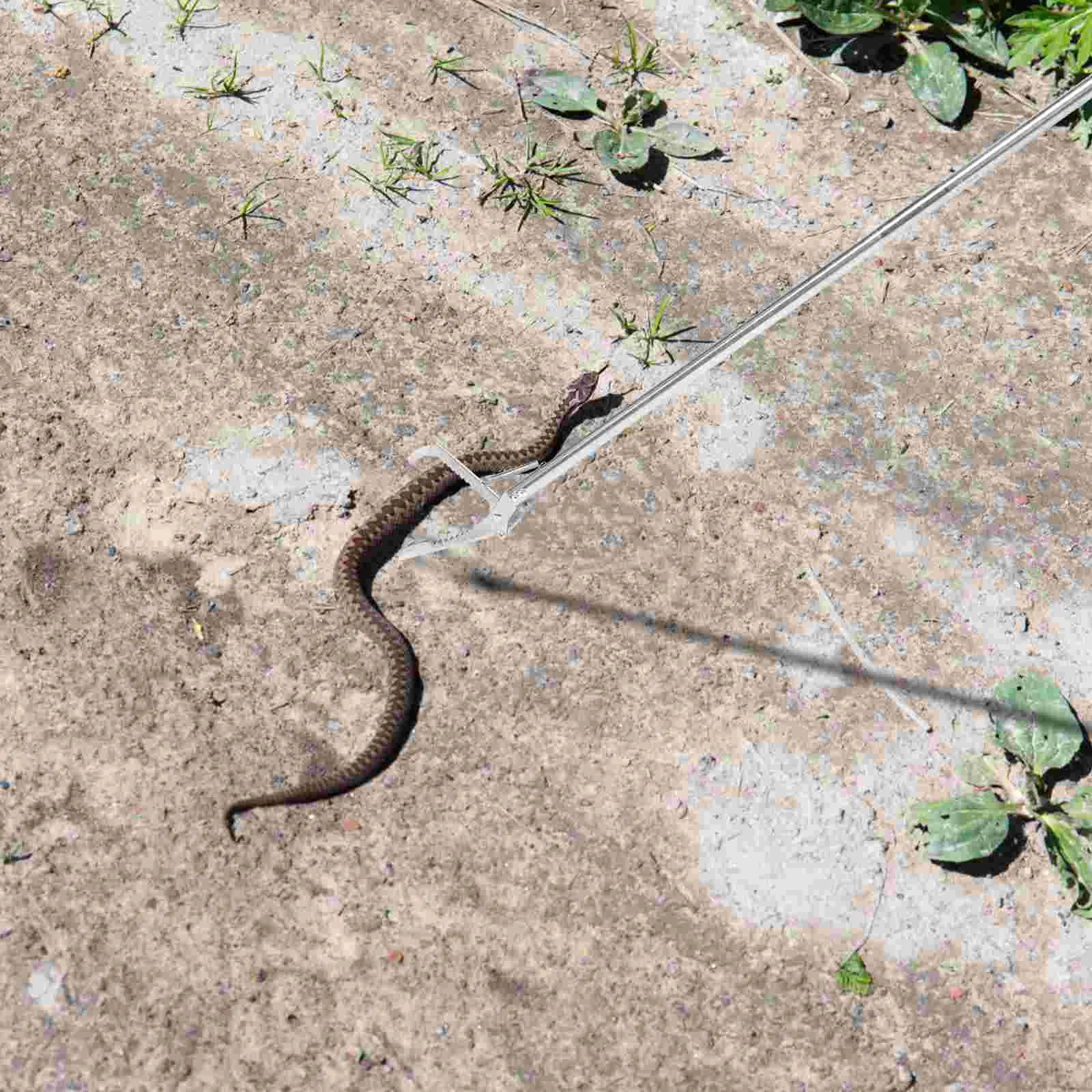 Clip receptor de serpiente de acero inoxidable, pinzas receptoras de serpiente, pinzas duraderas, Clip de abrazadera de serpiente para aperitivos, Camping y hogar