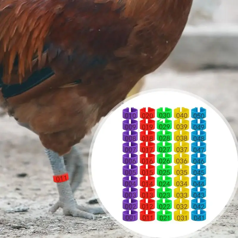 Chicken Leg Rings Chicken Numbered Foot Ring Poultry Clasp Foot Ring Easy Install & Remove Manually Poultry Carry Foot Rings