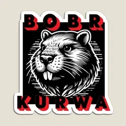 Bobr kurwa-冷蔵庫のオーガナイザー,子供のステッカー,子供のホルダーの装飾,面白いおもちゃのためのカラフルなかわいい家庭用冷蔵庫