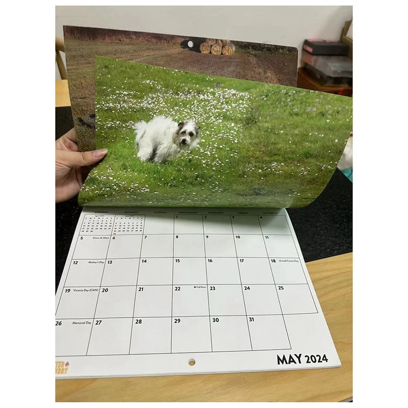 Dogs Pooping 2024 Wall Calendar Funny Dog Pattern 2024 Wall Calendar for New Year Christmas Gifts