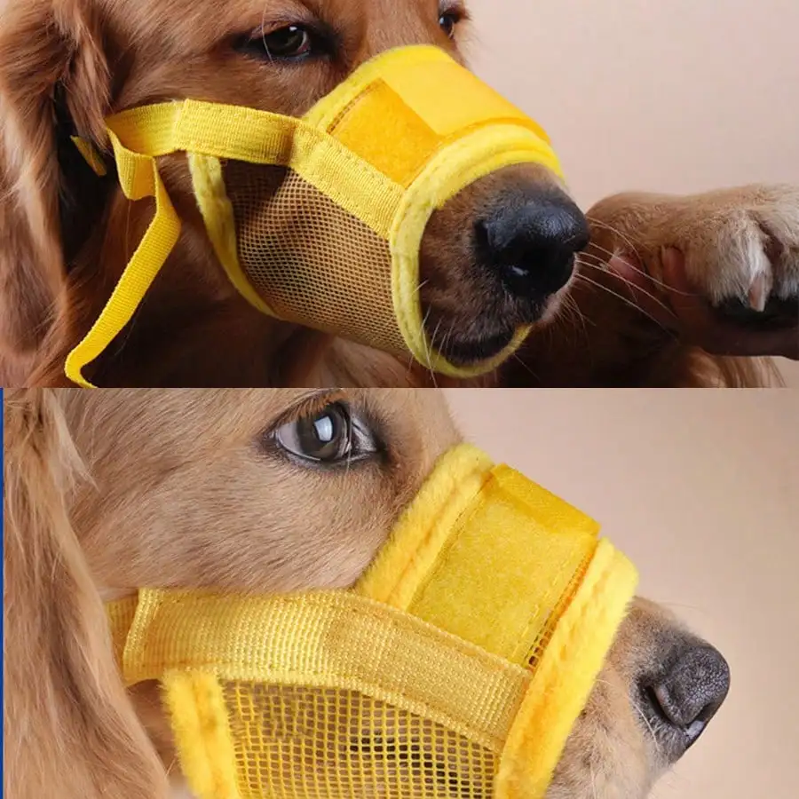 Thumbnail 4 - #24 Latest Pet Muzzles Offers