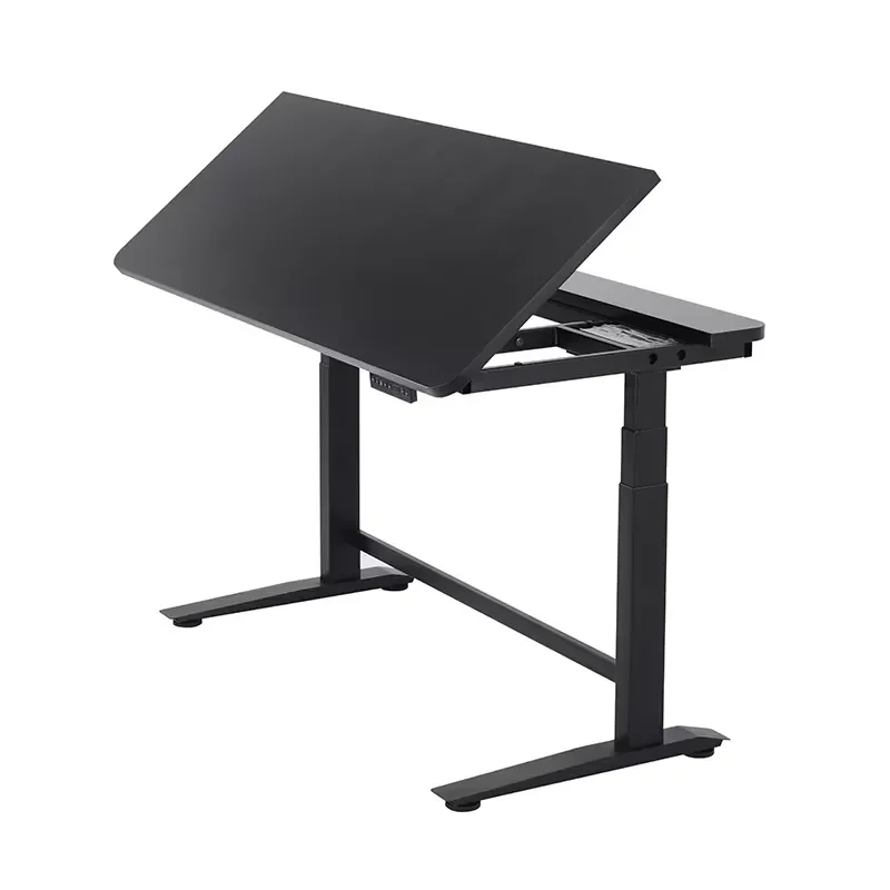 T3 Dual Motor Electric Height Adjustable Standing Desk Ergonomic Sit Stand Workstation with Half Tilt Top for Home Office