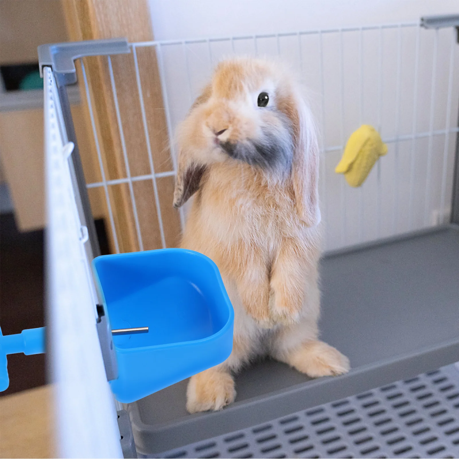 

2Pcs Bunny Water Dispenser Wearresistant Convenient Hanging Automatic Refill System Rabbit Waterer Bunny Water Dispenser