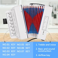 Mini 10 Keys Accordion Toy for Kids ABS Material Musical Instrument Toy for Children Kids Toddlers Christmas Gift