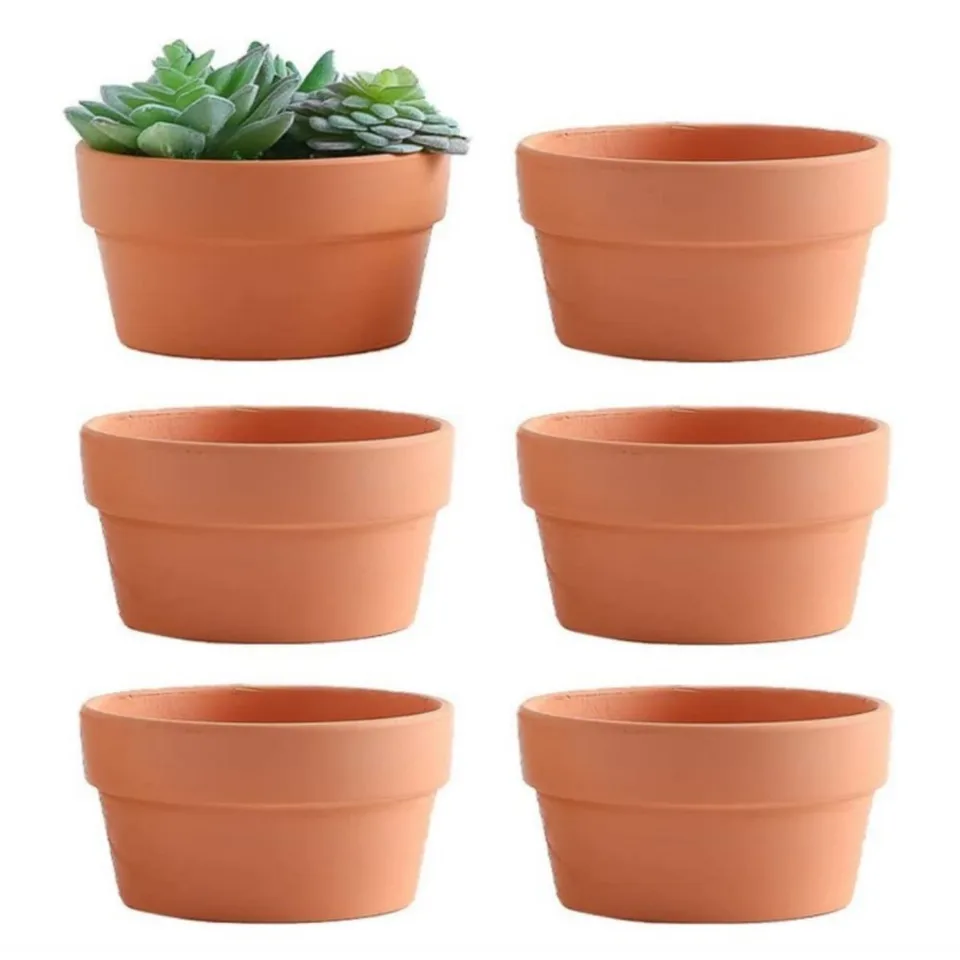 6 PCS Terracotta Buld Pots 3.5"x2.2" Flower Pots Clay Pottery Planter with  Drainage Hole Cactus Succulent Plant Nursery Pots - AliExpress 15