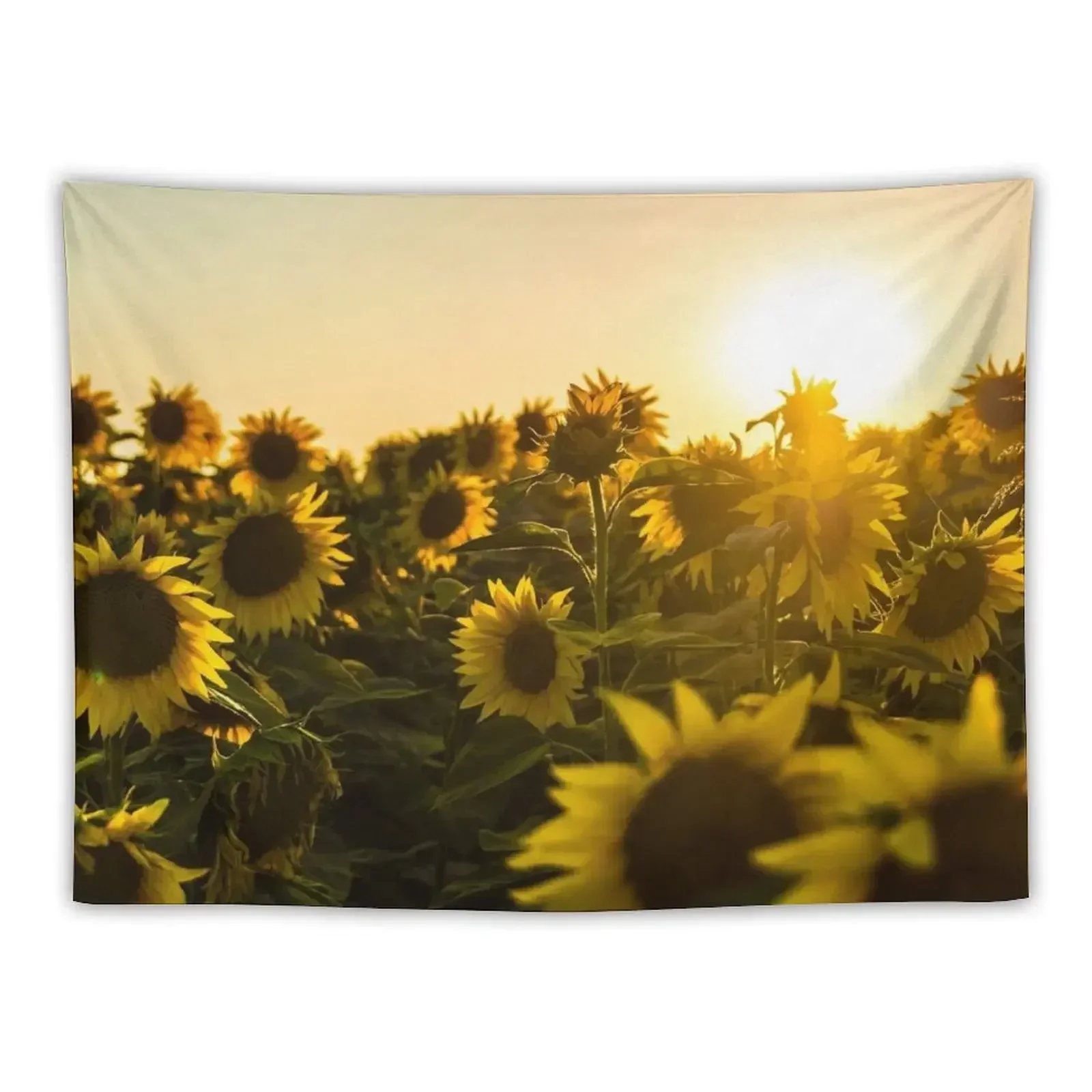 sunflowers sun flower field with photo filter vintage effect yellow flowers organic landscape picture Tapestry