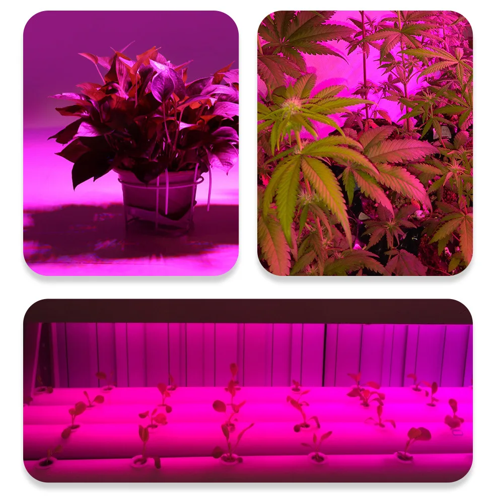 Led Grow Light  Full Spectrum 150W UFO 50led Led Grow Light Indoor Hydroponics for plants Flowering lighting 110 to 240v