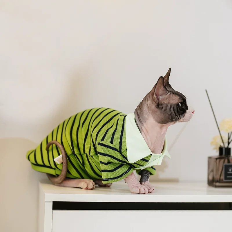 Summer Spring Outwear Cat Clothing Green Stripped Coat For Sphynx Cotton Vest Hairless Cat Soft T-Shirt Kittens Coat