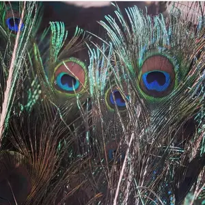 أعلى 5 مبيعات مزهرية ريشة الطاووس - No2