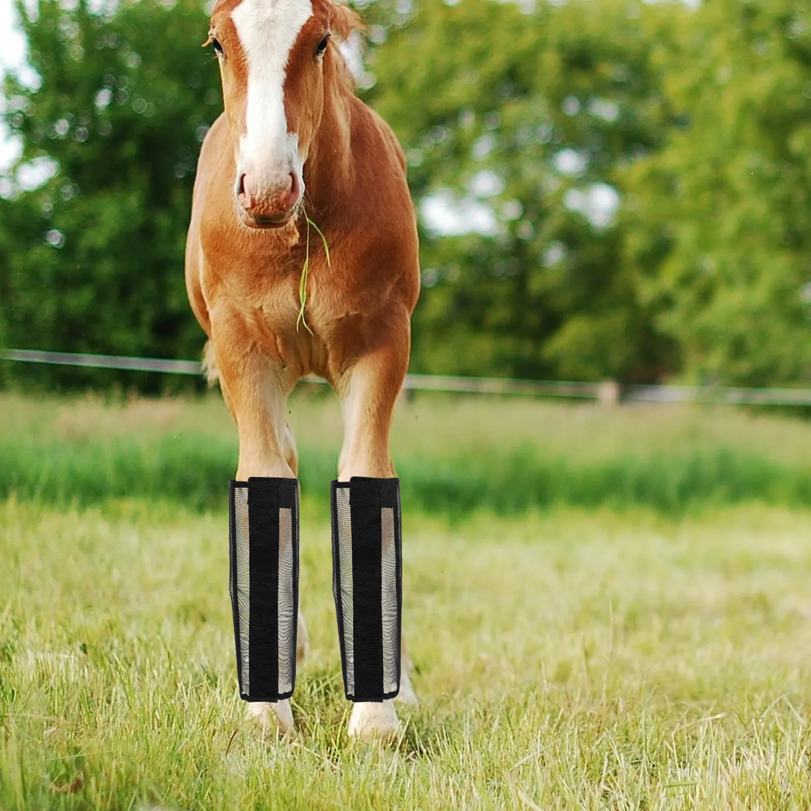 

Комплект из 4 дышащих сетчатых защитных накладок на ноги для лошадей, регулируемые, нескользящие, легкие, для тренировок на открытом воздухе и верховой езды