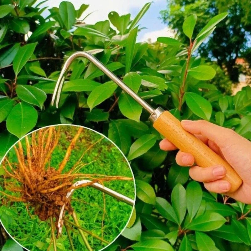 สวน Weeder เครื่องมือหญ้า Puller สวน Weeding Hook วัชพืชรากหญ้า Remover สำหรับ Backyard Farm ปลูกวัชพืชมือเครื่องมือ
