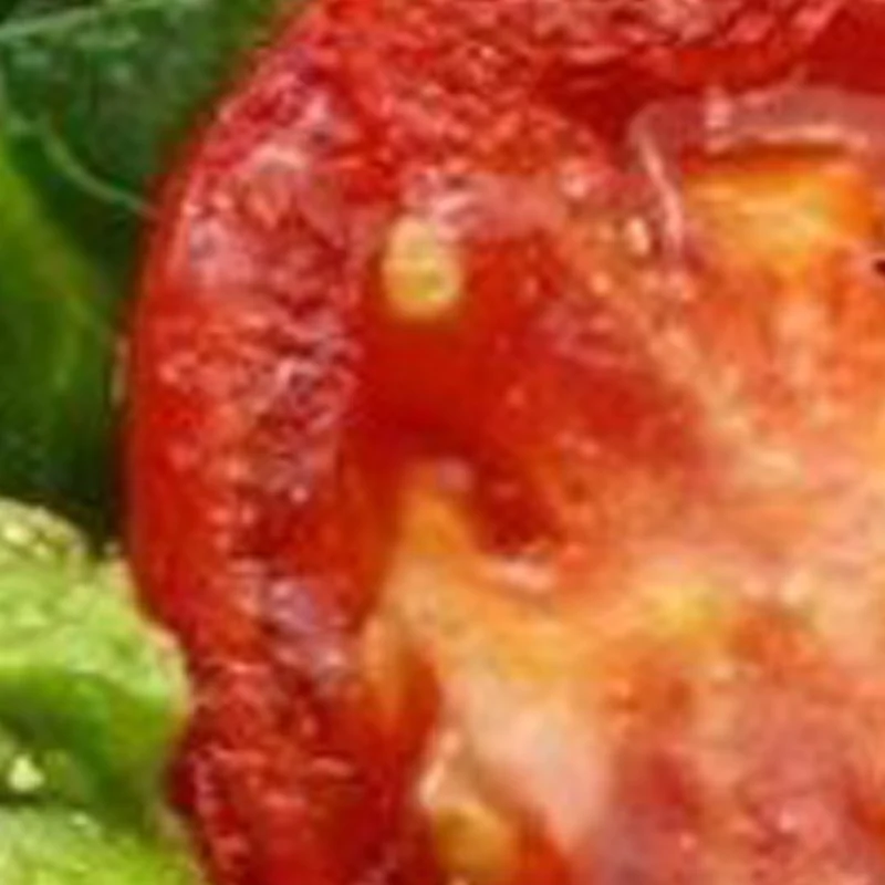 

Высококачественная автоматическая машина для нарезки мяса с ЧПУ, электрический станок для нарезки рулетов из баранины и говядины, кухонные инструменты