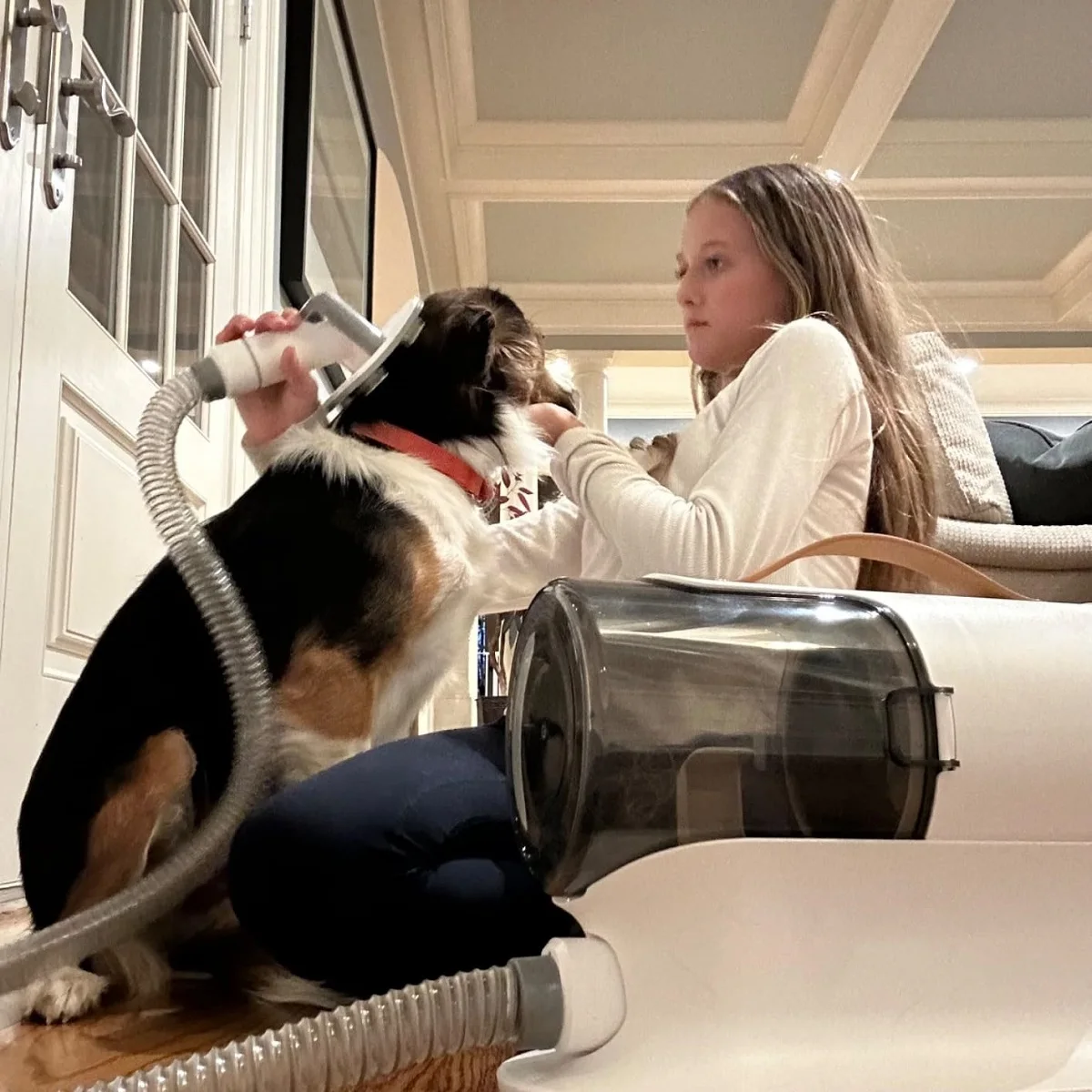 AIRROBO USA Ship PG100 Pet Hair Grooming Vacuum Dog Shedding Groom Tools Cats Grooming Kit Vacuum 99% Cleaning Pet Hair Remover