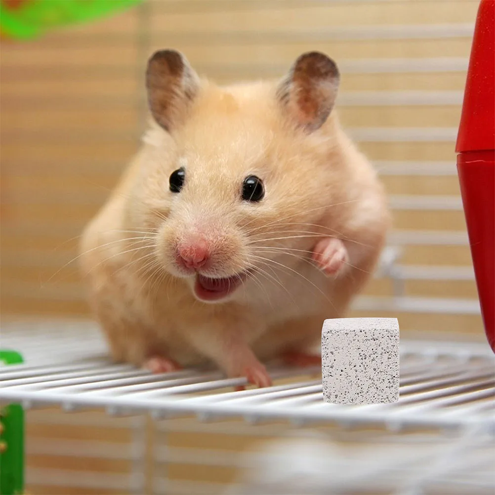 

15Pcs Guinea Pig Hamster Chinchilla Rabbit Molar Stones Natural Chew Blocks for Small Pets Teeth Grinding Healthy Fitness