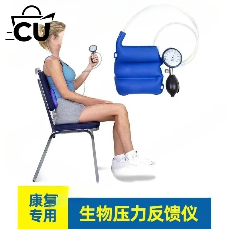 Biological Stress Feedback Device, Core Assessment, Trainer, Muscle Activation, Cervical and Lumbar Spine (1 piece)