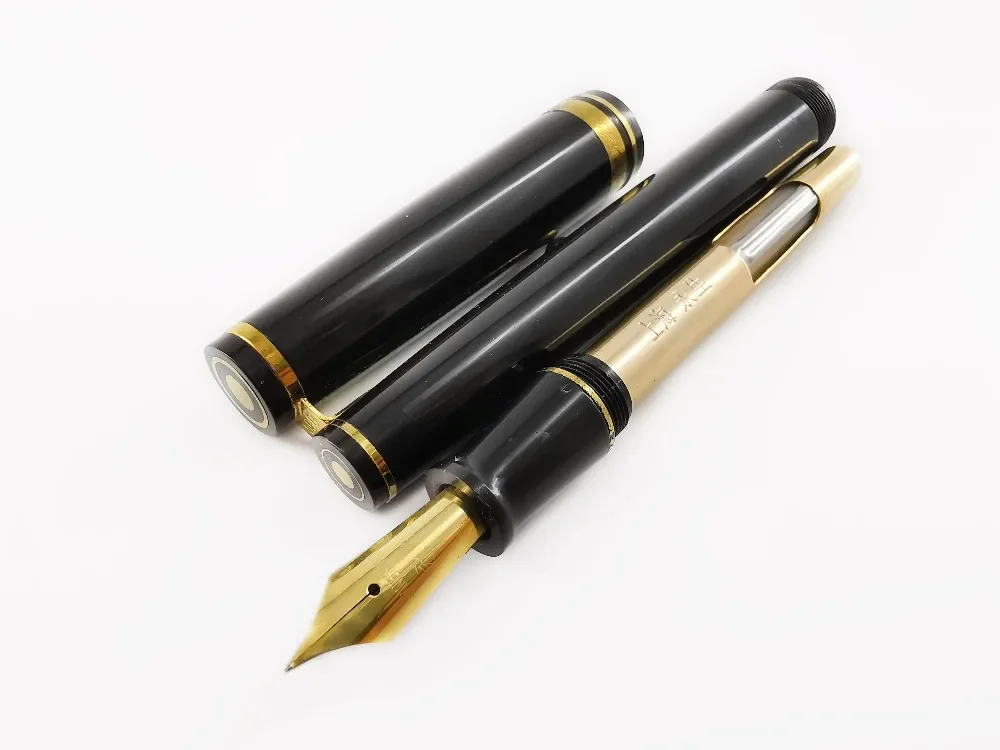 Wing Sung 590 0.5mm Plastic Fountain Pen 1980s Nostalgic Classic