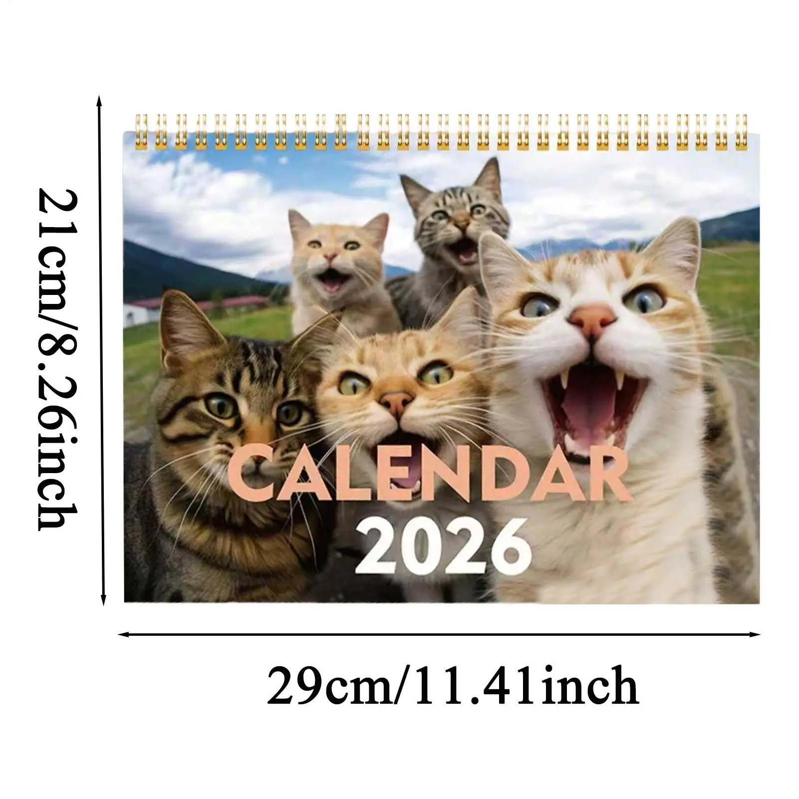 Calendrier mural chat 2026 joli calendrier de bureau mensuel 2026 pour l'organisation d'étude Table lieu de travail planification scolaire maison famille