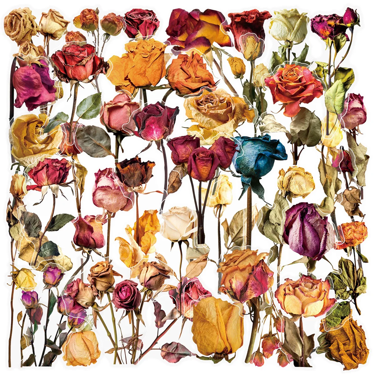 

10/30/50PCS Transparent light yellow Dried Rose Graffiti Stickers for Water Cup Phone Computer Notebook Stationery Luggage