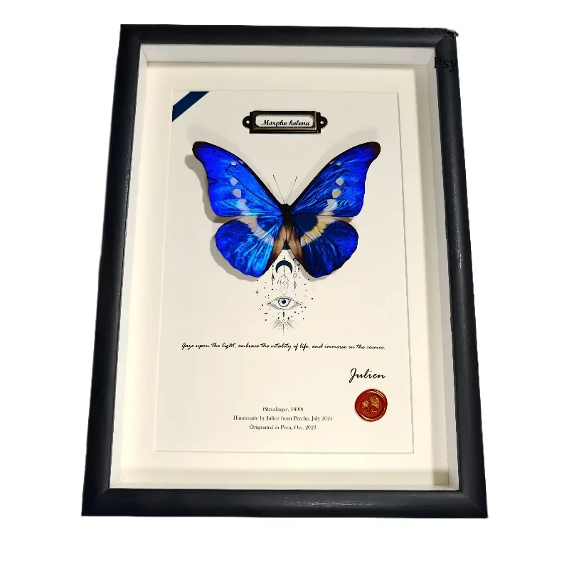 

Helena true butterfly specimen rare birthday gift handmade display frame ornament decorative painting