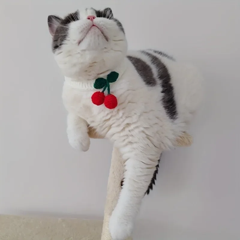 Pet Collar Handmade Knitted Cat Collar With Cherry Decor Cute Cat Necklace Cat Supplies ошейник для кошек para gatos accesorios