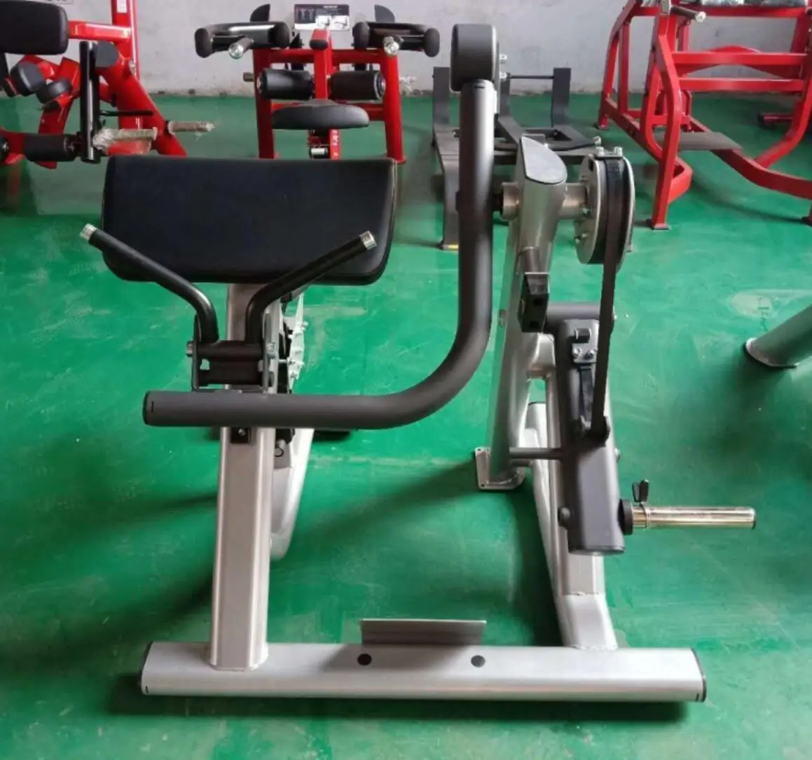 

Gym Exercise Machine Plate Load Biceps Curl Equipment for Home Fitness Training Strength Building Weightlifting Equipment
