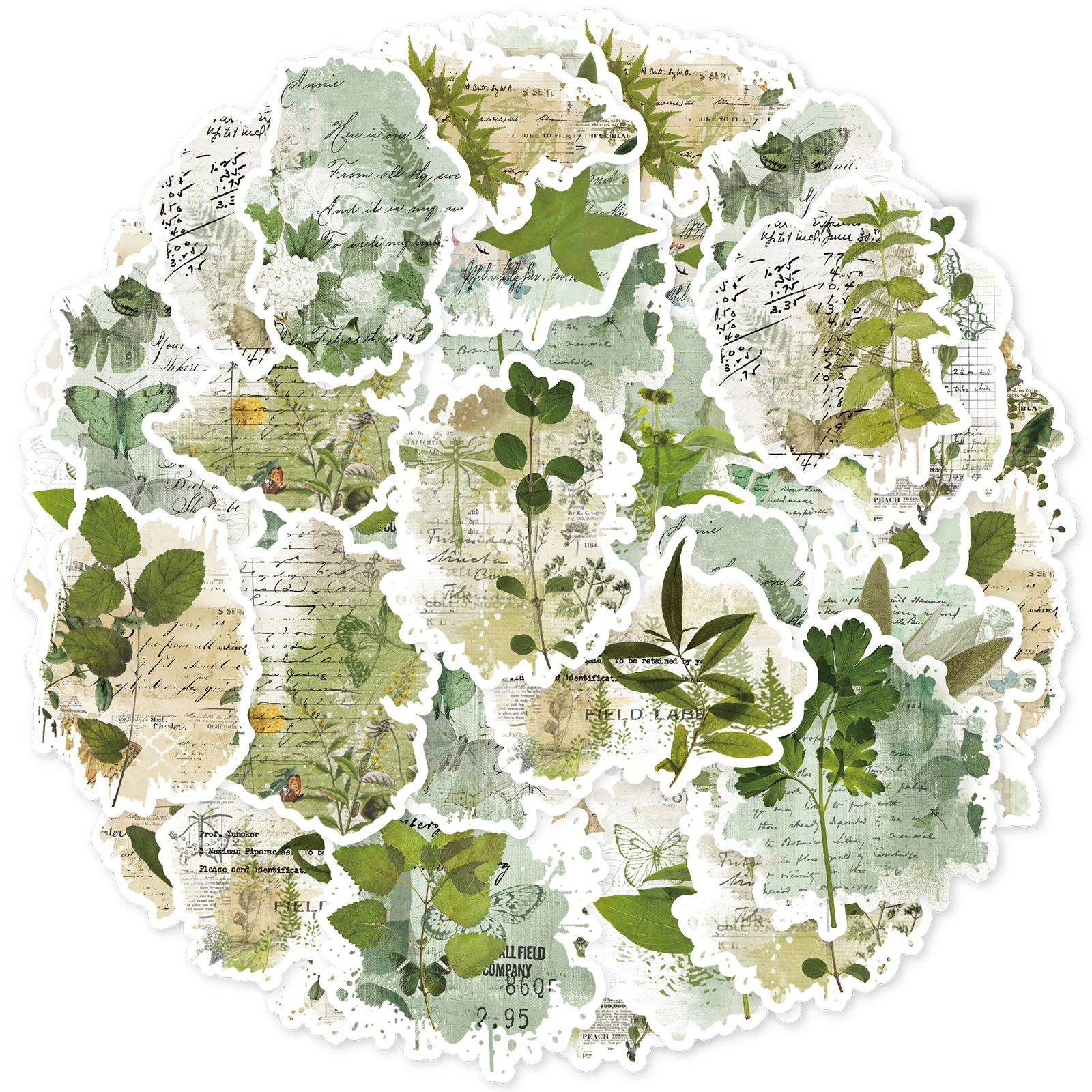Etori Life Forest-Style Fresh Green Plant Journal Sticker Set Vintage Watercolor Plants DIY Decoration Materials 30Pcs Suitable for Laptops, Suitcases, Guitars, Photo Albums, Bicycles, Scrapbooking Supplies, Office Decoration Accessories, DIY Crafts, Envelopes and Gift Paper Bags, Label Seals, Birthday and Holiday Gifts, Art Aesthetics, School Supplies, Irregular Shapes