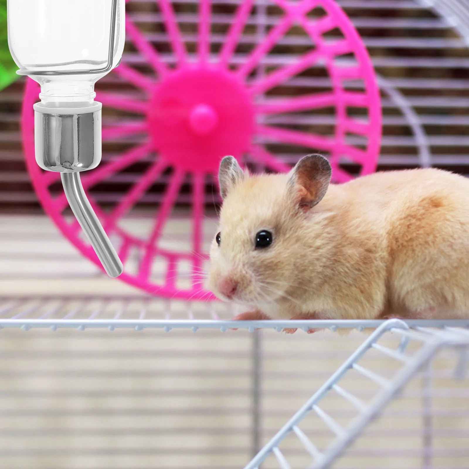 

2Pcs Pet Water Dispenser Vertical Design Easy Install No Leak Rolling Ball Control for Rabbit Guinea Pig Hamster Chinchilla