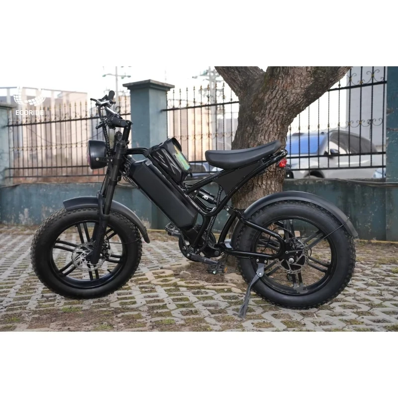 

High quality electric V10 electric bike 1000w fat bike cheap 20 inches