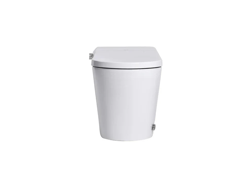 Smart Toilet Intelligent Toilets High Quality Chinese WC Toilet Auto-Open Close Lid Auto Flushing