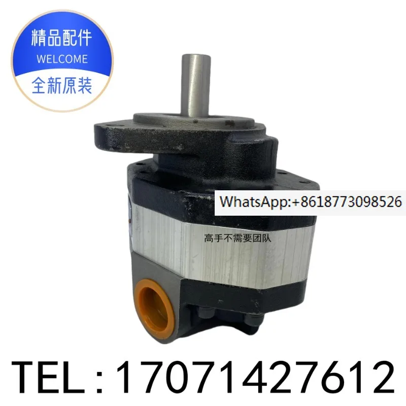 

CB-FC hydraulic oil pump gear pump CB-FC10 25 32 40 50 CB-FC63-FL FR FHL FPR