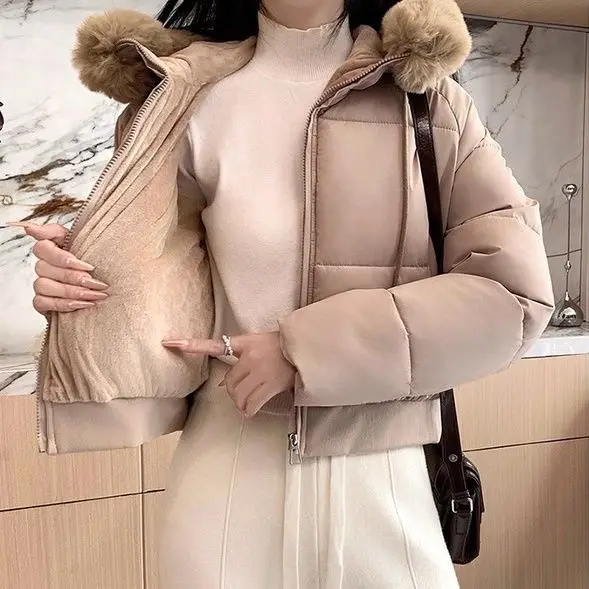 

High-end Tooling Parker Cotton Clothes Women's Winter Hooded Slim-fitting Short Thermal Jacket