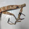 Desert tiger spot-1