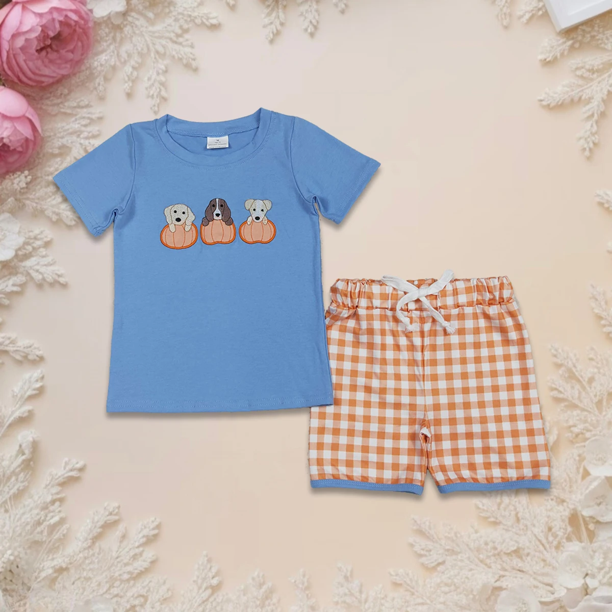 

Hot Sale Baby Boys Fall Clothes Set Short Sleeve Top Shorts Cozy Toddler Outfits Embroidery Dogs Pumpkins Halloween Costume