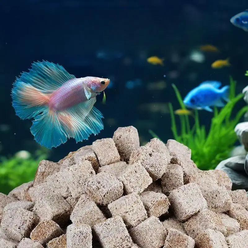 Natural Freeze Dried Bloodworms Cube Tubifexes Worms High Protein Fish Feed For Aquarium Tropical Fish Marine Fish Frog Tortoise