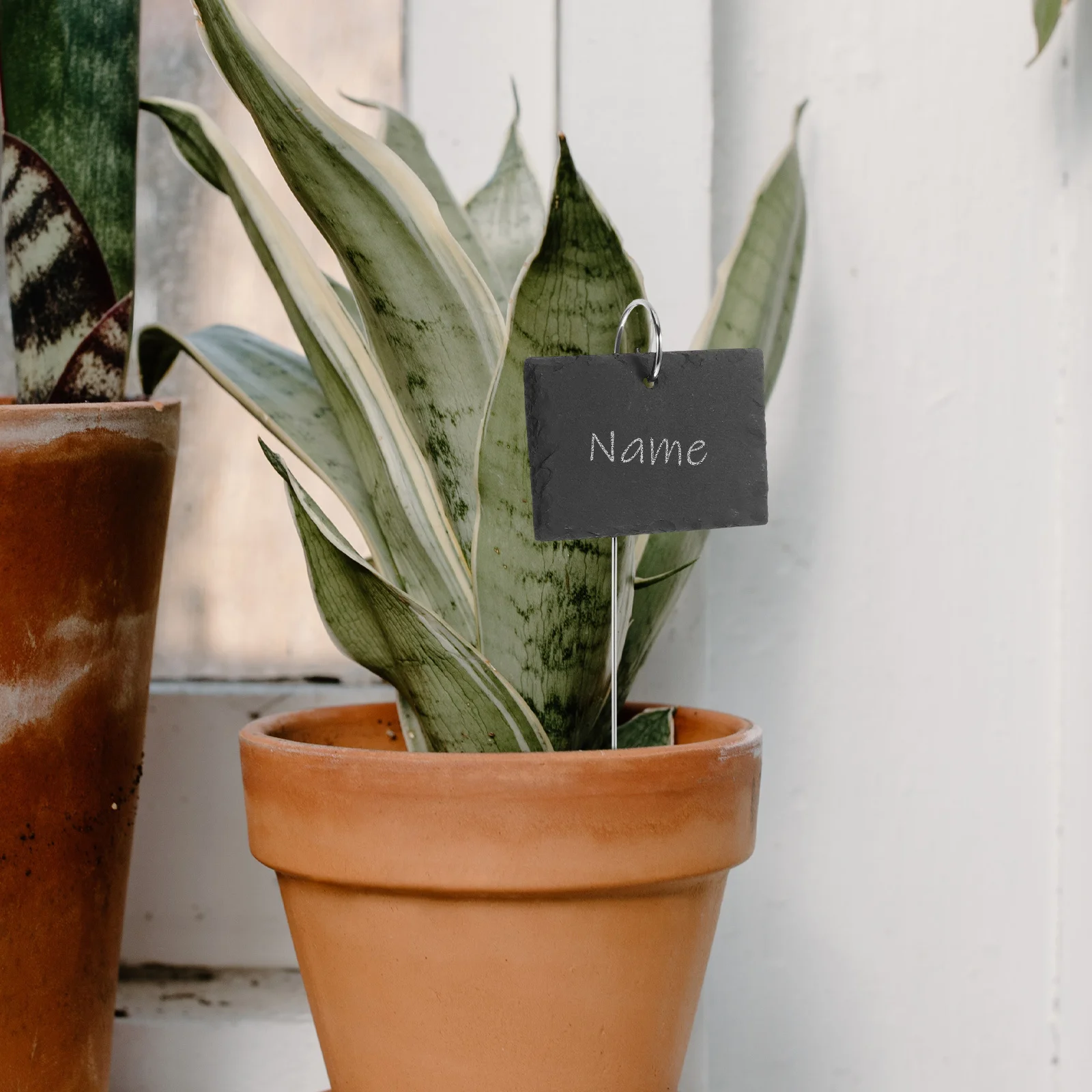 

5Pcs Stainless Steel Garden Plant Markers Labels for Indoor Outdoor Flower Beds Pots Unique Decorative Easy Use