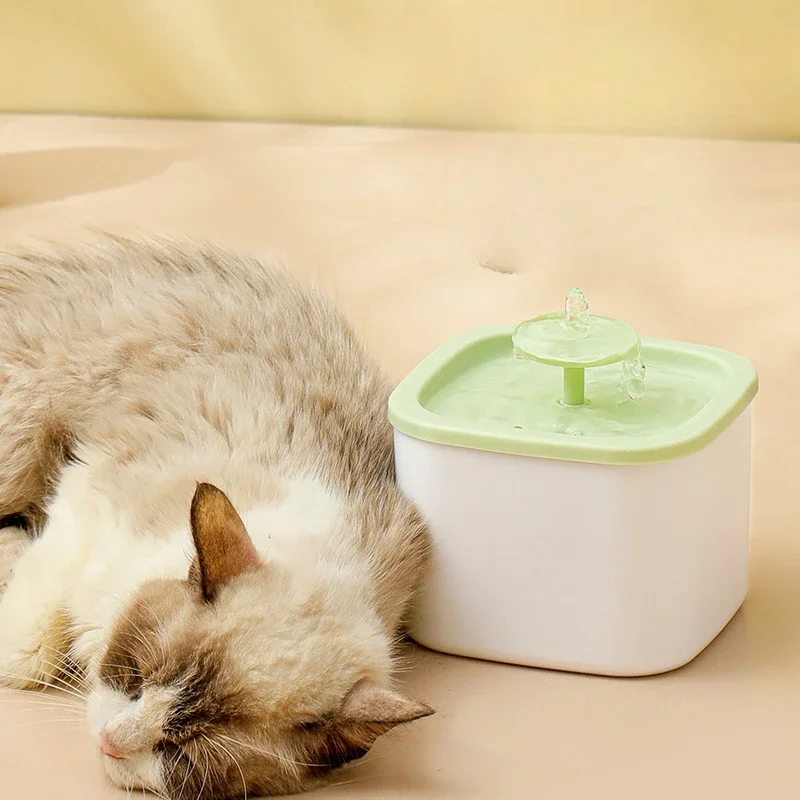 Pet Water Feeder Filtered Circulating Live 1000 Large Capacity Multifunctional Cat Automatic Drinker