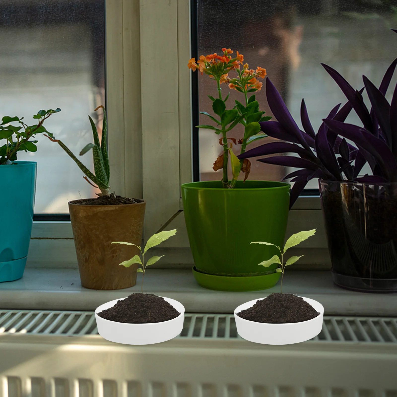 

10 шт. пластиковых поддонов для растений, утолщенные, без отверстий, из бразильского дерева, круглые, для комнатных и уличных растений, с функцией сбора воды