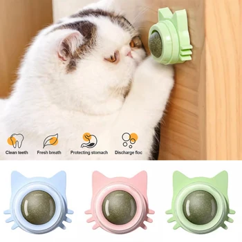 Catnip Healthy Nutrition Pasted Lollipop Cat Supplies Mint On The Wall Kitten Energy Ball Candy Snacks Goods For Pet Products 1