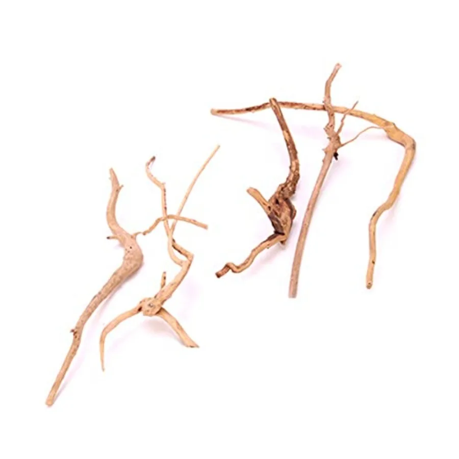 5 قطعة حوض السمك Driftwoods تورال Driftwood خزان الأسماك الزينة الصلبة الزواحف الخشب فروع لخزان الأسماك الأسماك الصغيرة إخفاء